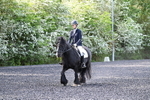 WJ7_7829