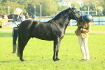 SBM_58458
