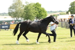 SBM_02254