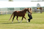 SBM_00705