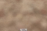 250621-131037-09099