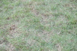 SBM_09920