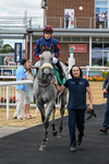 010826-Race 4-Accrual-2954