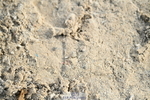 251004A-154800-01985