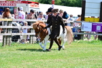 SBM_05802