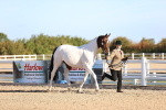 SBM_08335