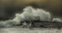 DSCF7692