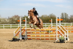 SBM_002389