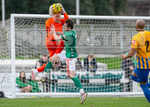 GFC v Basingstoke Town-30