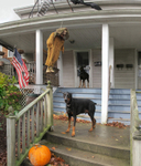 Somewhere in Newport (detail)