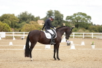 SBM_009607