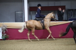 SBM_09279