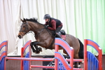 SBM_002537