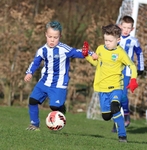Kendal United Under 7 vs Heysham Under 7 (25/2/24) portfolio