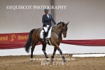 BPP_1775