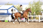 SBM_00567