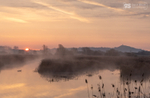 Sunrise on the Avalon Marshes