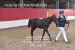 JAC_6513