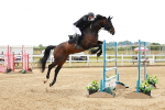 SBM_019051