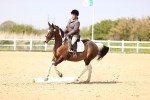 SBM_008006