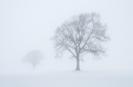 Winter 3