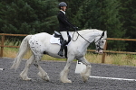 SIAL8745