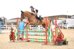SBM_006628
