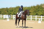 SBM_001431