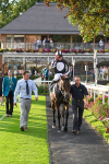 260724-Race 5-Verbier-5458