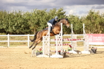SBM_008778