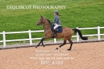 BPP_4183