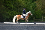 WJ5_8834