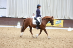 SBM_010912