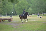 NGP_7976