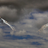 Sky spiders