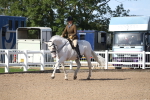 SBM_17541