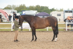 SBM_07900