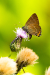 20130727-3K8A5281
