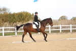 SBM_009563