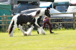SBM_05547