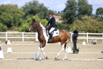 SBM_014466