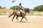 SBM_010604