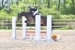 BPP_6536