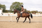 SBM_02832