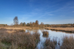 Woorgreens Lake