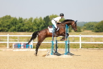SBM_000384