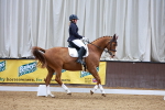 SBM_002653