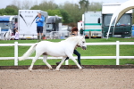 SBM_00228