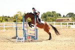 SBM_002534