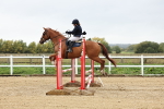 SBM_006331